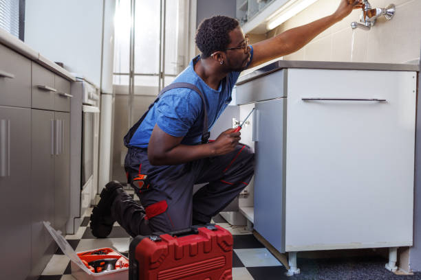 Best Plumbing Inspections & Maintenance in Ridgewood, IL